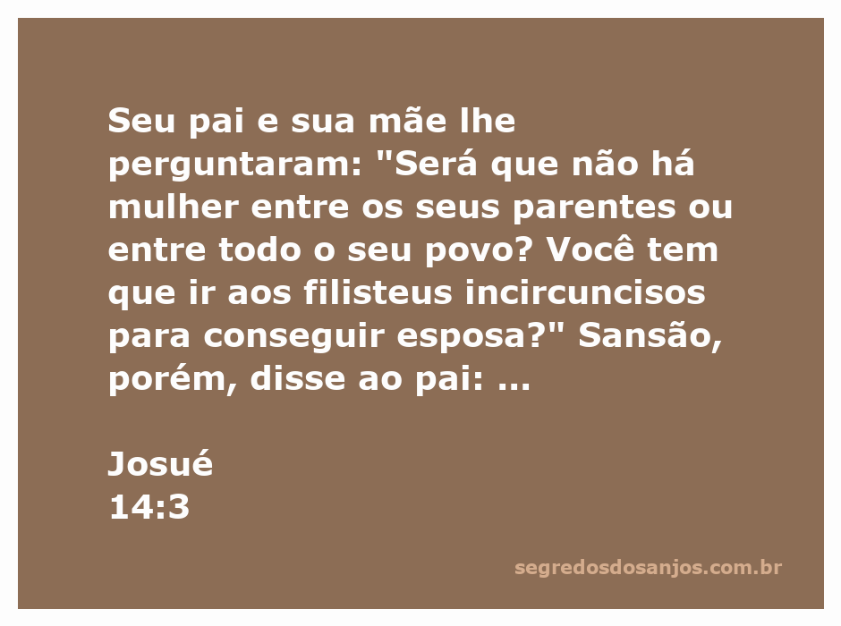 Mapa das tribos de Israel mostrando a divisão da herança, destacando as tribos a leste do Jordão e a ausência de herança para os levitas.