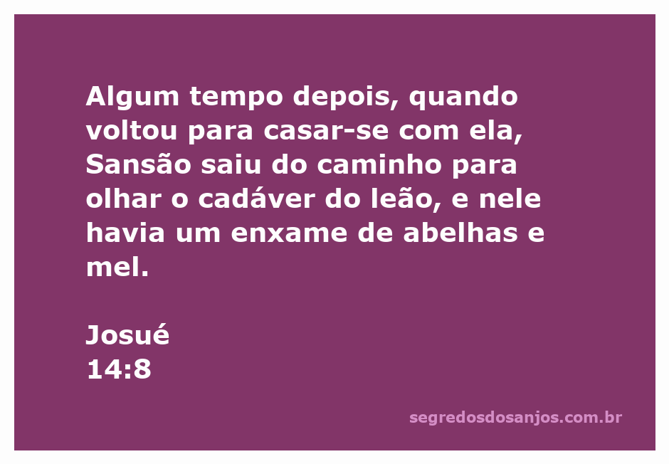 Imagem que ilustra a fidelidade de Calebe ao Senhor em Josué 14:8, contrastando com os irmãos israelitas que desanimaram o povo.