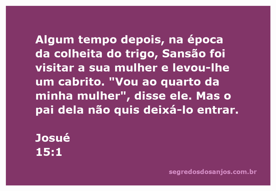 Mapa mostrando as terras distribuídas à tribo de Judá na região sul, incluindo a fronteira com Edom e o deserto de Zim.