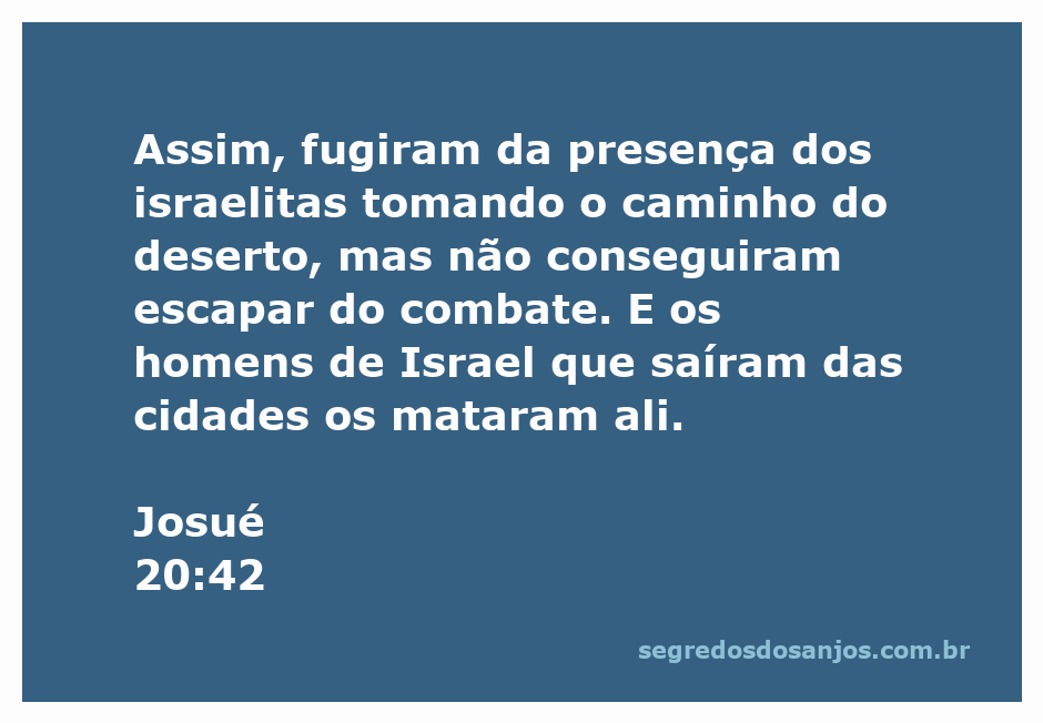 Imagem representativa da batalha entre os israelitas e os inimigos descritos em Josué 20:42.