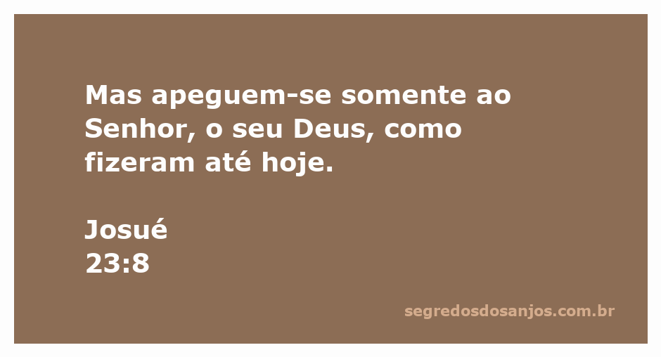 Imagem que ilustra a passagem bíblica Josué 23:8, destacando a importância de se apegar ao Senhor, o Deus.