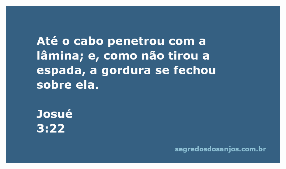 Imagem representativa do versículo Josué 3:22, ilustrando a espada e a gordura ao redor dela.