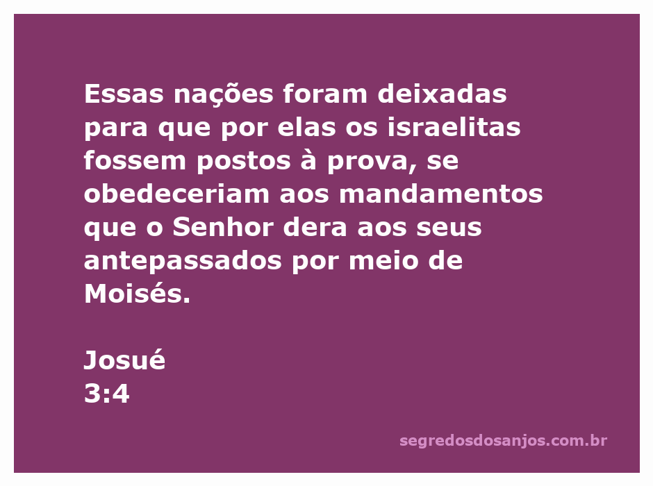 A arca da aliança sendo carregada, com pessoas mantendo distância, simbolizando a orientação divina.