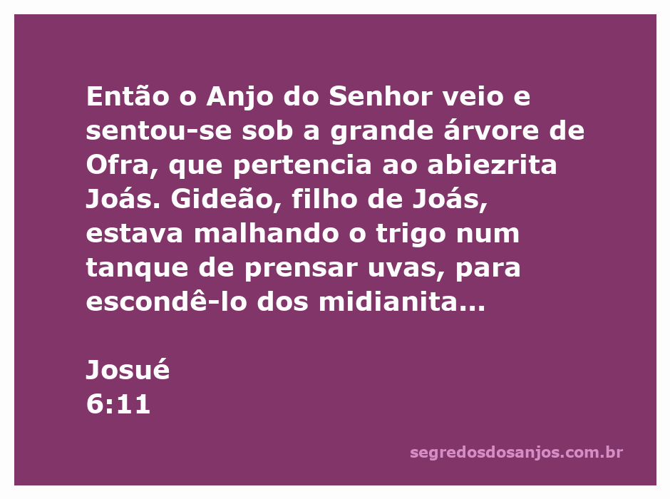 A arca do Senhor rodeando a cidade de Jericó enquanto o povo observa.