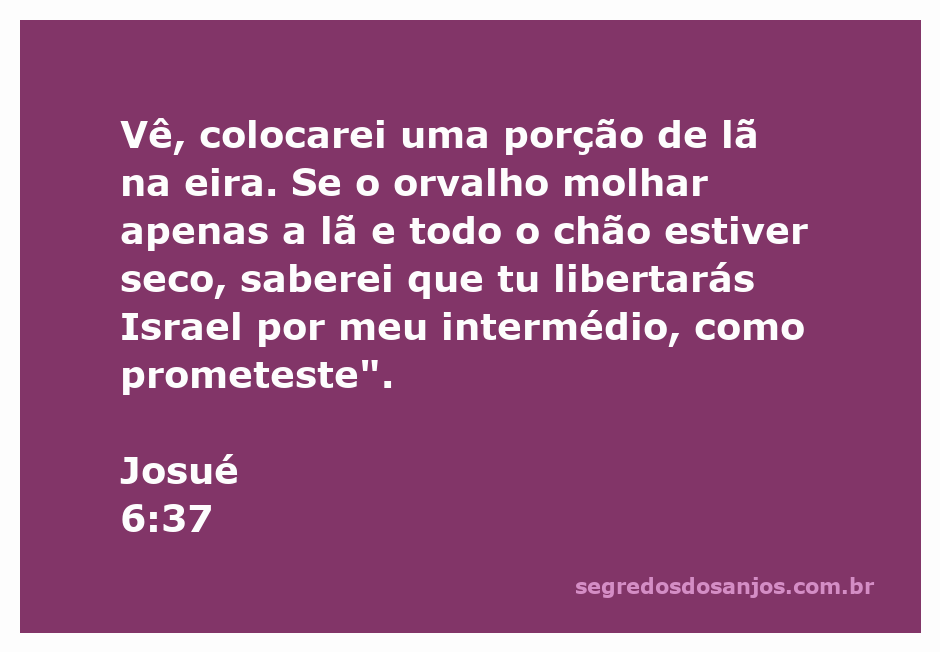 Ilustração de Josué colocando lã na eira para buscar confirmação divina