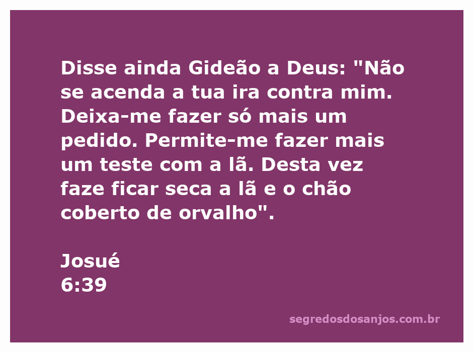 Gideão fazendo um teste com a lã e o chão coberto de orvalho, simbolizando a busca por confirmação divina.