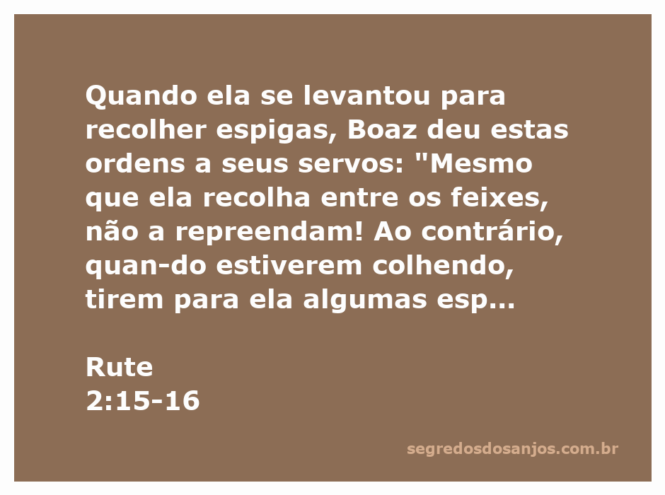 Boaz instruindo seus servos a permitir que Rute recolha espigas durante a colheita.
