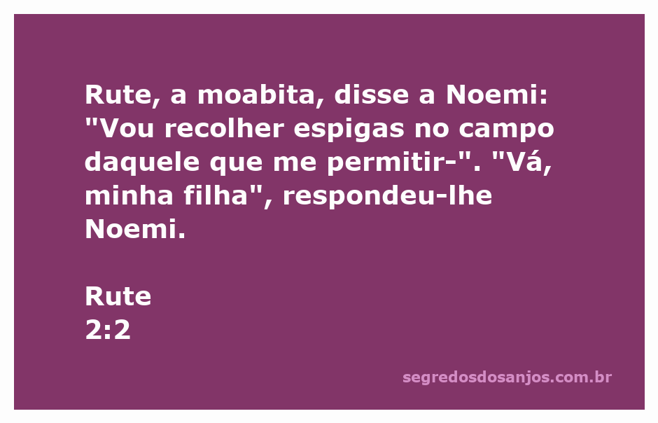 Rute, a moabita, conversando com Noemi sobre a colheita de espigas no campo.
