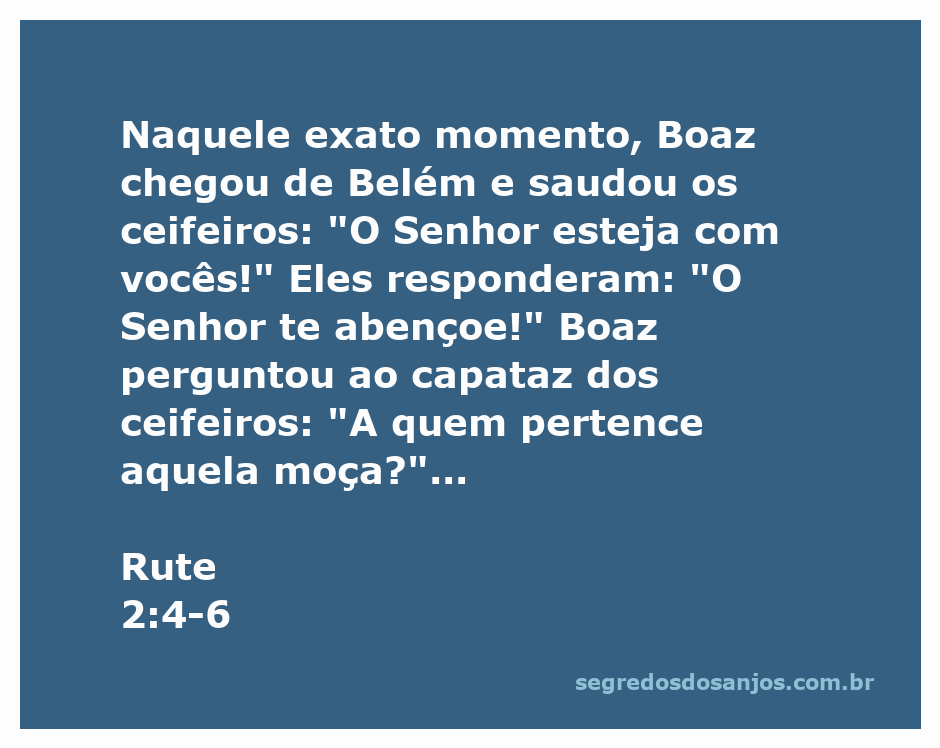 Boaz cumprimenta os ceifeiros enquanto observa Rute, a moabita, no campo de cevada.