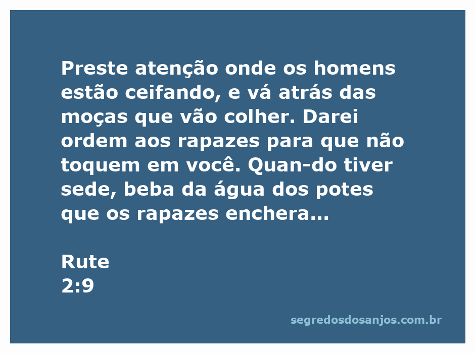 Imagem de Rute colhendo espigas no campo, cercada por rapazes que garantem sua proteção.