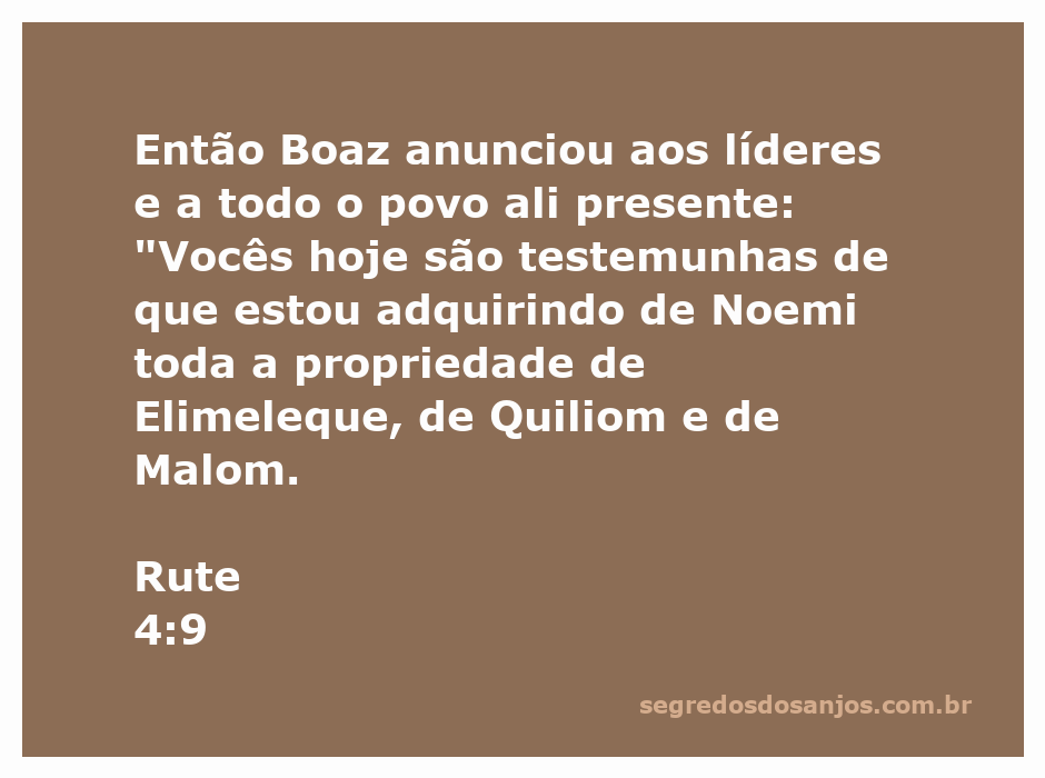 Boaz anuncia a aquisição da propriedade de Noemi em Rute 4:9